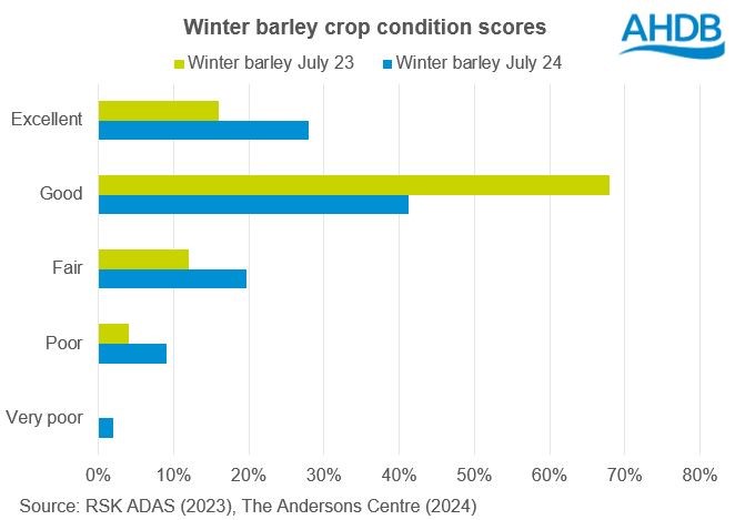 Chart of GB winter barley crop conditions scores at the start of July 2024